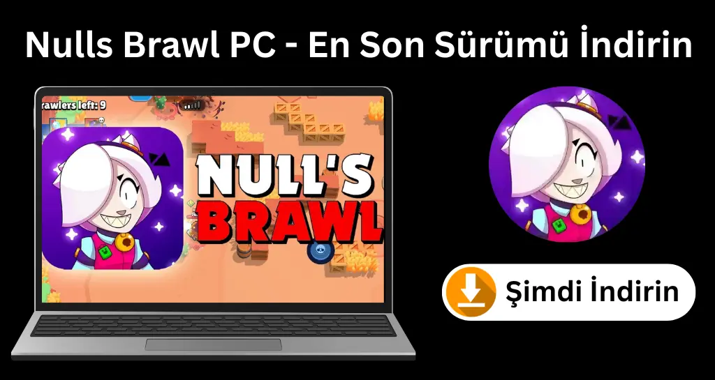 Nulls Brawl PC